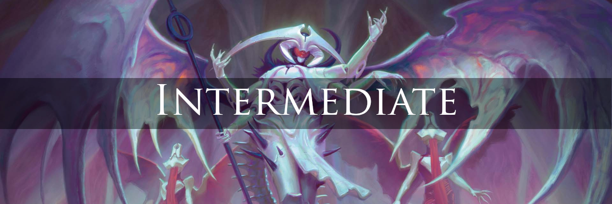 Intermediate Category