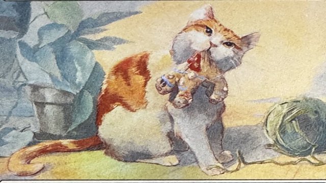 Cats Are Better Than Dogs
        •