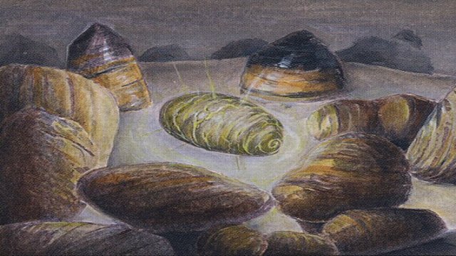 Dan Frazier: Enemy Talismans
        •