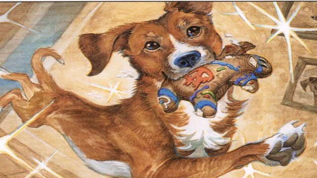 Dogs Are Better Than Cats
        •