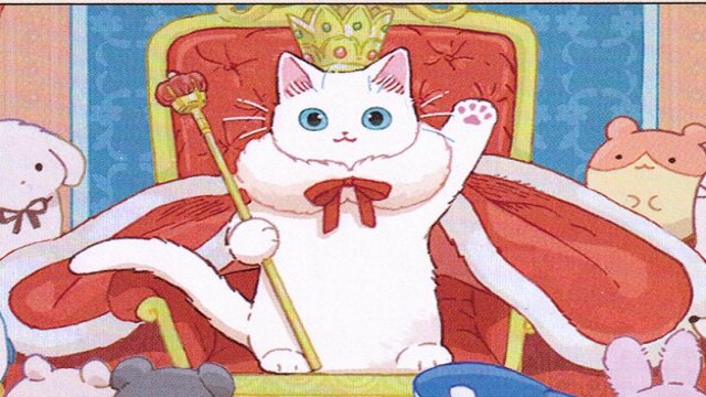 Look at the Kitties
        •