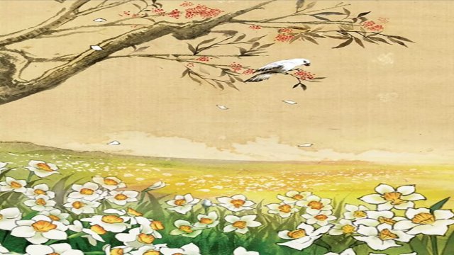 Meditations on Nature
        •