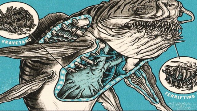 Monster Anatomy 101
        •