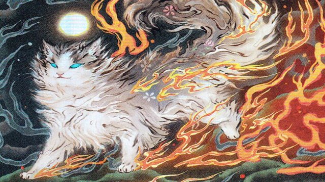 Raining Cats and Dogs
        •