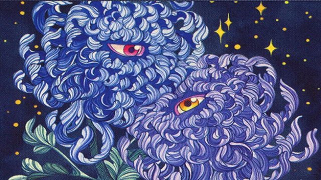 The Eyes Have It
        •